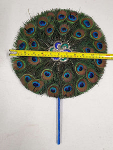 S Peacock Feather Fan